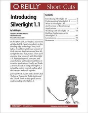 Introducing Silverlight 1.1