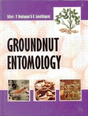 Groundnut Entomology