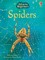 Spiders