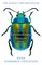 Extraordinary Insects