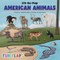 American Animals