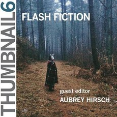 Thumbnail 6: Flash Fiction: Thumbnail Magazine