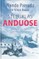 Stebuklas Anduose