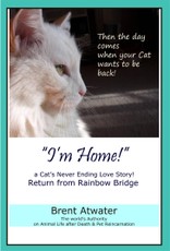 I'm Home! a Cat's Never Ending Love Story, Cat reincarnation stories- Animal Life after Death, Pet Heaven, Pet loss & Reincarnation