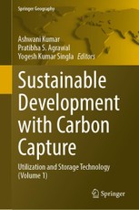 Sustainable Development with Carbon Capture