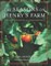 The Seasons on Henry's Farm