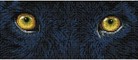 Deimantinė mozaika BLACK PANTHER SPY 42x18