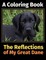 The Reflections of My Great Dane