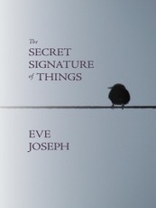 Secret Signature of Things
