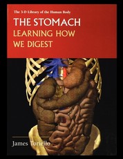 The Stomach