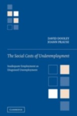 Social Costs of Underemployment