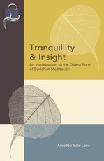 Tranquillity & Insight