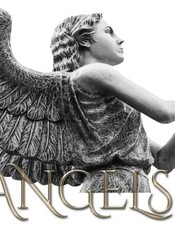 Angels journal