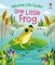 One Little Frog