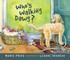 Who's Walking Dawg?