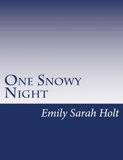 One Snowy Night