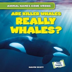 Are Killer Whales Really Whales?