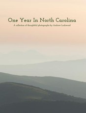 One Year In North Carolina