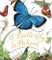 Butterfly Is Patient