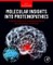 Molecular Insights Into Proteinopathies