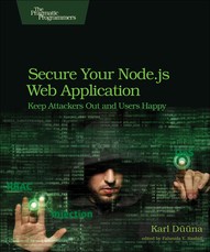 Secure Your Node.Js Web Application