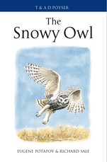 The Snowy Owl
