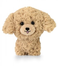 Mascot Teddy Pets — pliušinis auksinis pudelis