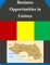 Business Opportunities in Guinea