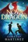 Nova Dragon
