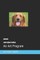 Supplementary Guide 5A ANIMALS