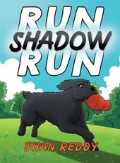 Run Shadow Run