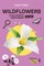 Wildflowers of the Pacific Northwest for Kids