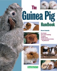 The Guinea Pig Handbook