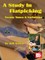 A Study in Flatpicking Twenty Tunes & Variations