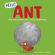Hello Ant