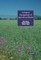 Ecological Management of Agricultural Weeds