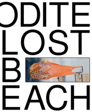 Louise EnhÃÂ¶rning: Lost Time, Aphrodite Beach