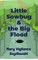 Little Sowbug & the Big Flood