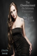 Chambermaid An Intimate Encounter in a New York Hotel Room