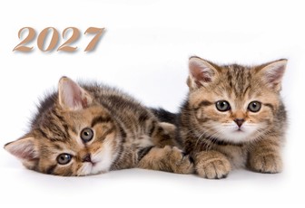Sieninis kalendorius „Katės“ 2027, 1 dalies