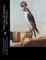 Falconry