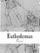 Euthydemus