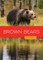 Brown Bears
