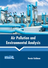 Air Pollution and Environmental Analysis