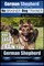German Shepherd Dog Training with the No BRAINER Dog TRAINER We Make it THAT Easy!