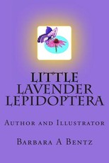 Little Lavender Lepidoptera