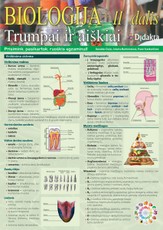 Biologija II dalis. Prisimink, pasikartok, ruoškis egzaminui!