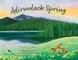 Adirondack Spring