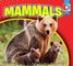 Mammals