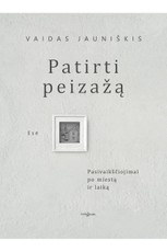 Patirti peizažą